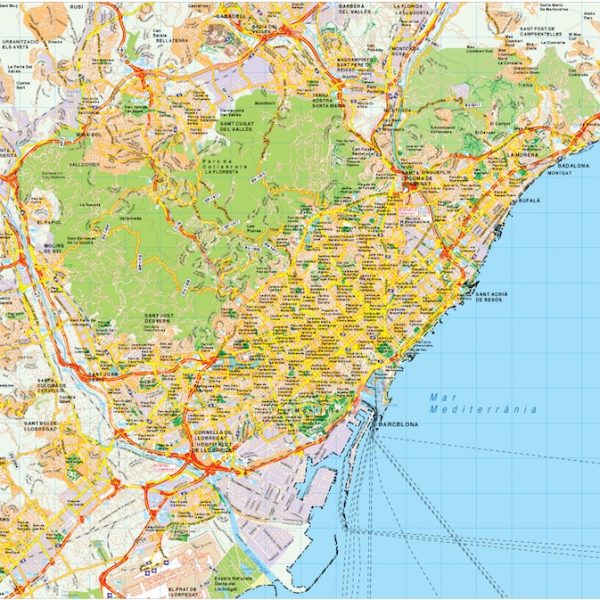 Barcelona map vector
