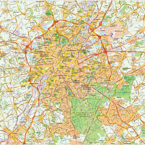 Brussels map vector