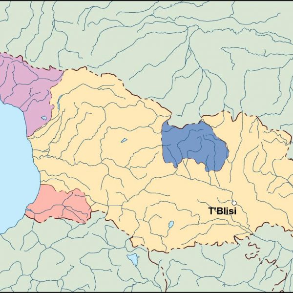 georgia vector map