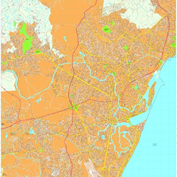 Recife vector map