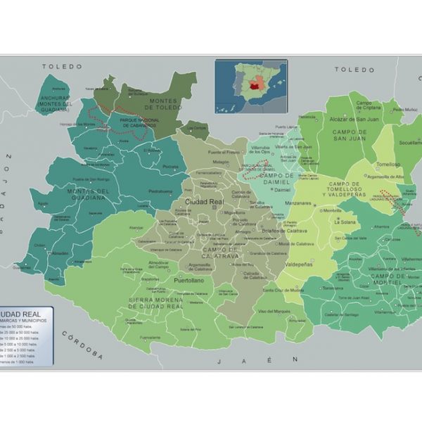 Mapa Municipios Ciudad Real