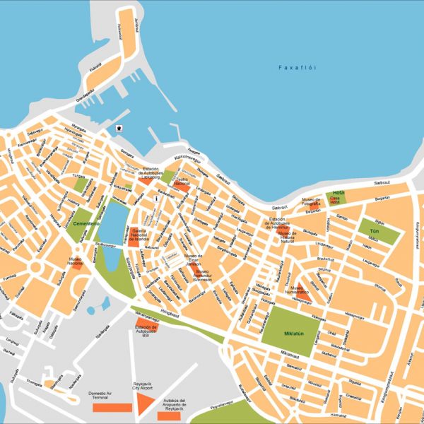 Reykjavik Vector Map
