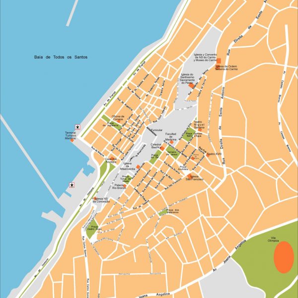Salvador Bahia Vector Map